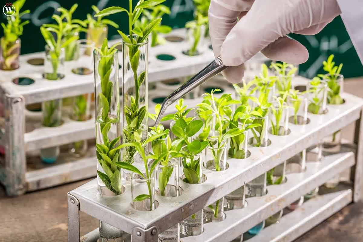 13 Best Examples of AI in Agriculture | CIO Women Magazine