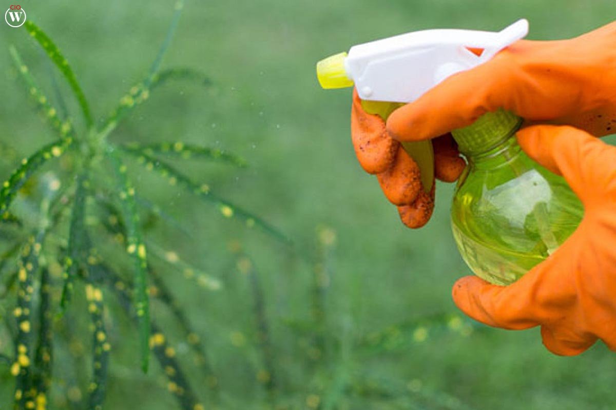 13 Best Examples of AI in Agriculture | CIO Women Magazine