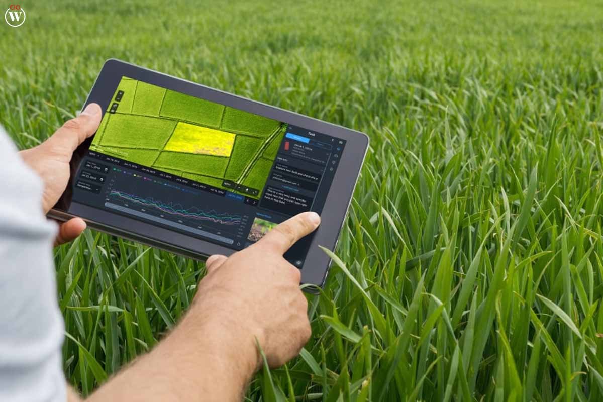 13 Best Examples of AI in Agriculture | CIO Women Magazine