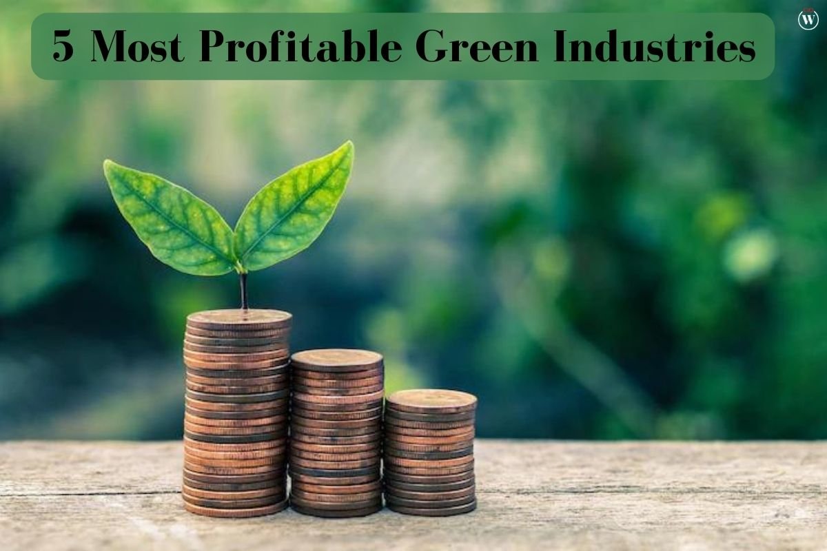 Best 5 Most Profitable Green Industries | CIO Women Magazine
