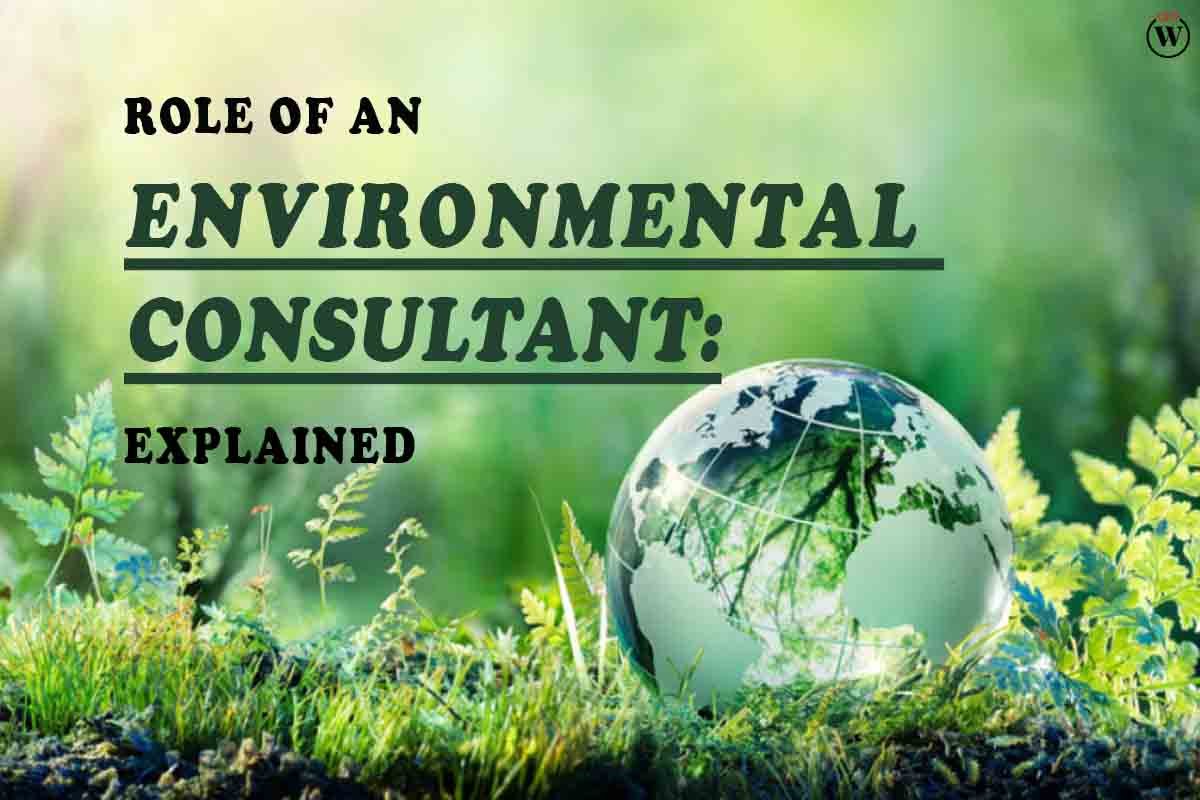 The Role of an Environmental Consultant: Explained