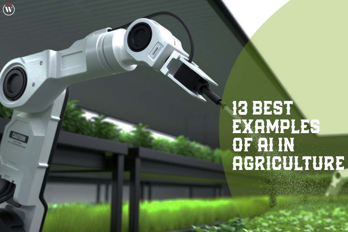 13 Best Examples of AI in Agriculture