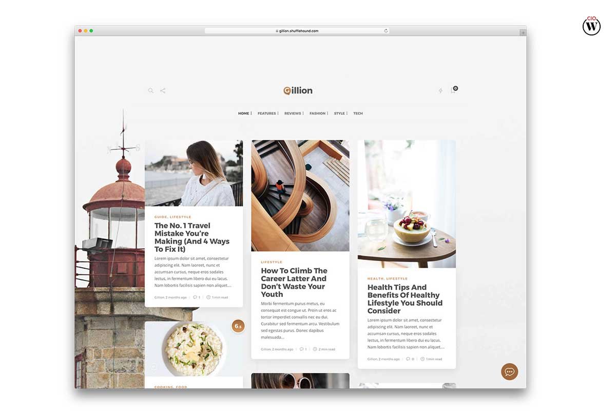 How to Choose the Best WordPress Theme for Your Blog? 8 Best Points | CIO Women Magazine
