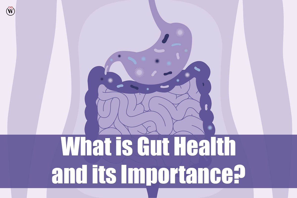 What is Gut Health and Its Importance?