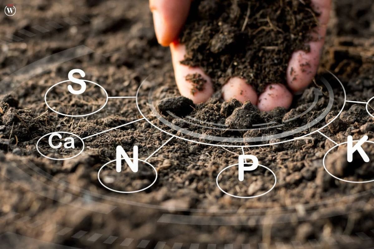9 Best Applications of AI in Agriculture | CIO Women Magazine
