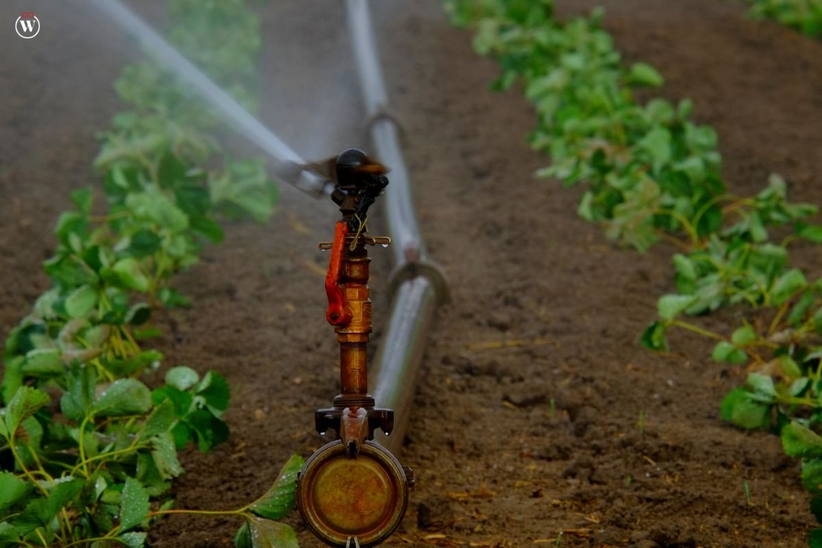 9 Best Applications of AI in Agriculture | CIO Women Magazine