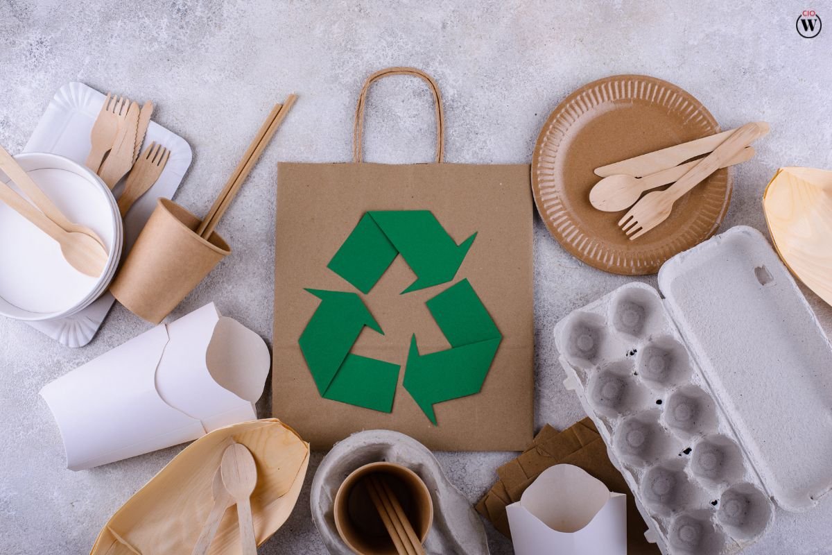 Start or Buy a Green Business: Measure Twice – Cut Once 2023 | CIO Women Magazine