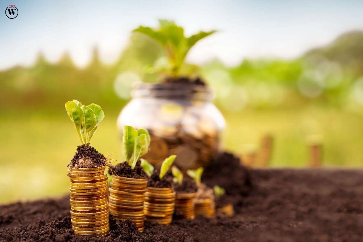 Top 5 Reasons You Should pay for a business valuation? What is a Business Valuation? | CIO Women Magazine