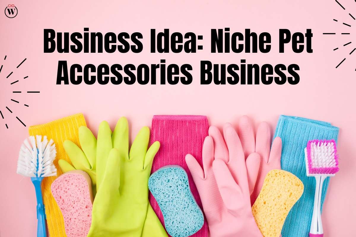 Business Idea: Niche Pet Accessories Business
