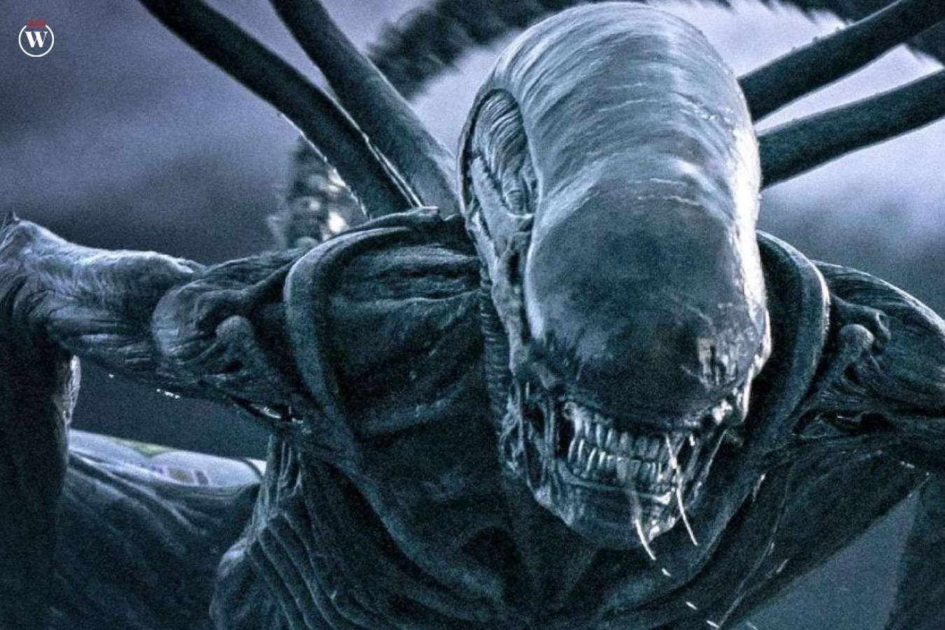 Top 8 Sci-fi Movies of All Time | CIO Women Magazine