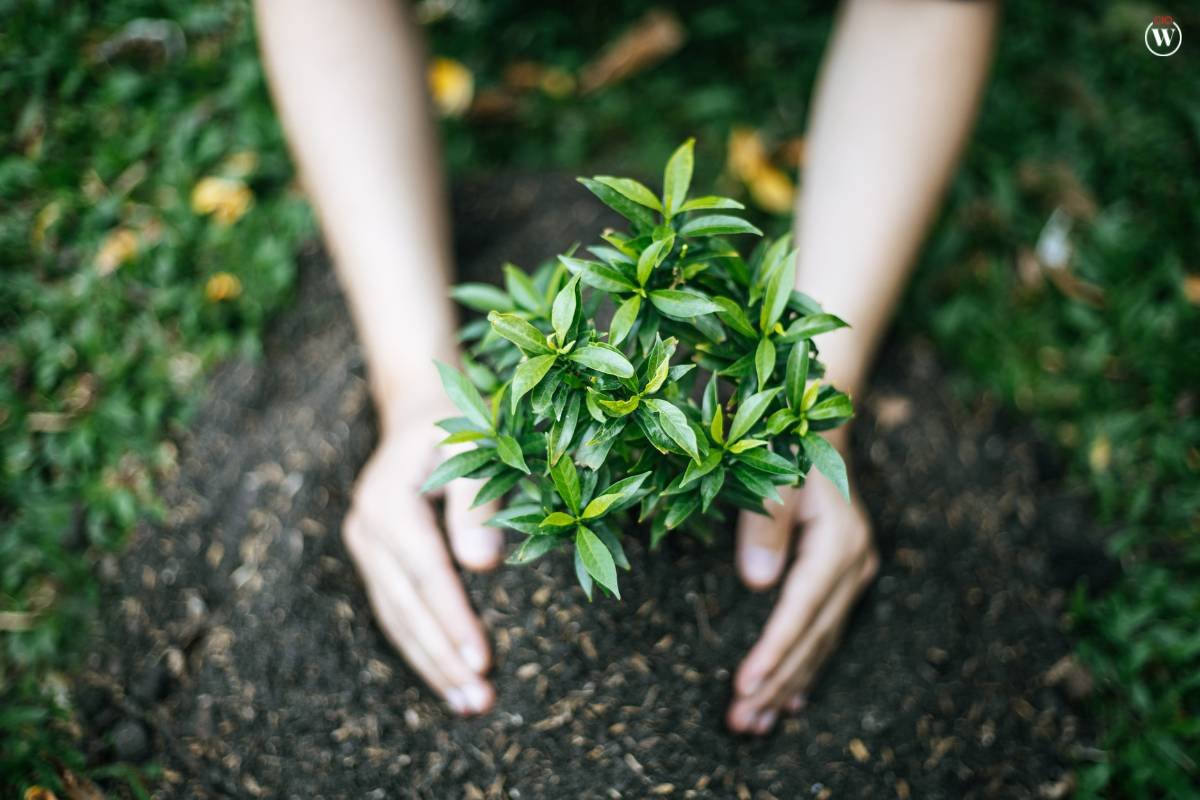 10 Best Community Outreach Programs You Must Know | CIO Women Magazine