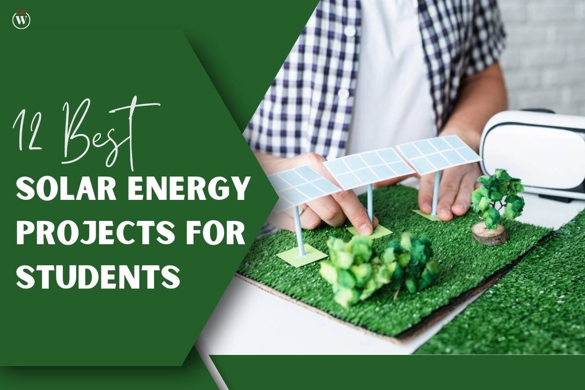 12 Best Solar Energy Projects for Students | CIO Women Magazine