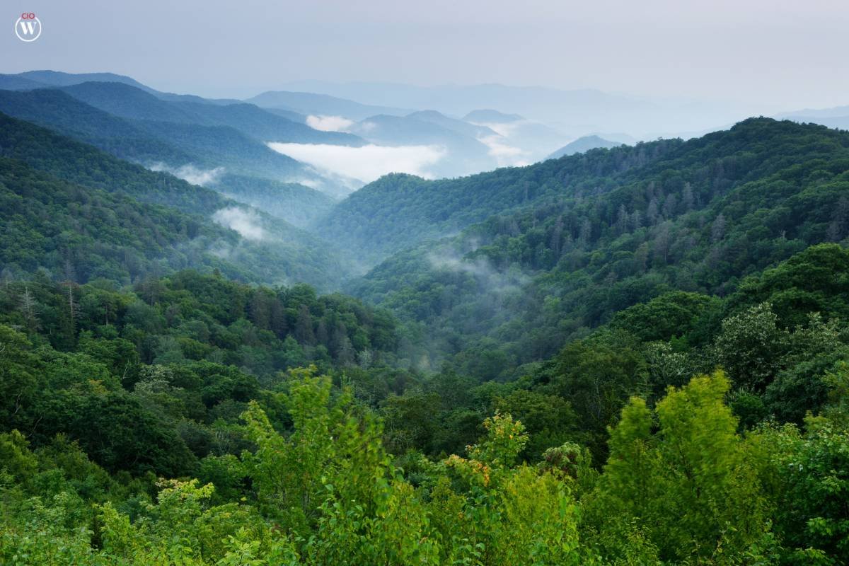 Exploring the Green Side: How Sustainable Tourism Can Preserve Natural Wonders | CIO Women Magazine