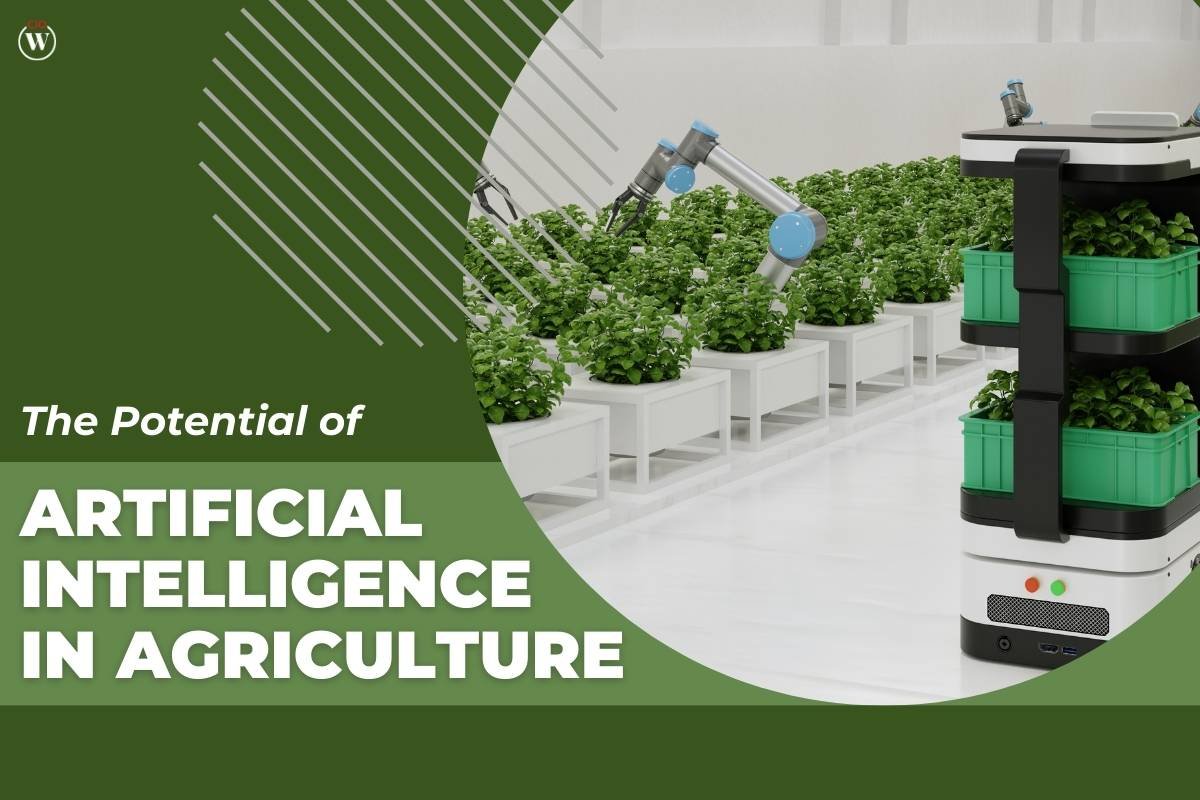 Harvesting Tomorrow: Unleashing the Potential of Artificial Intelligence in Agriculture