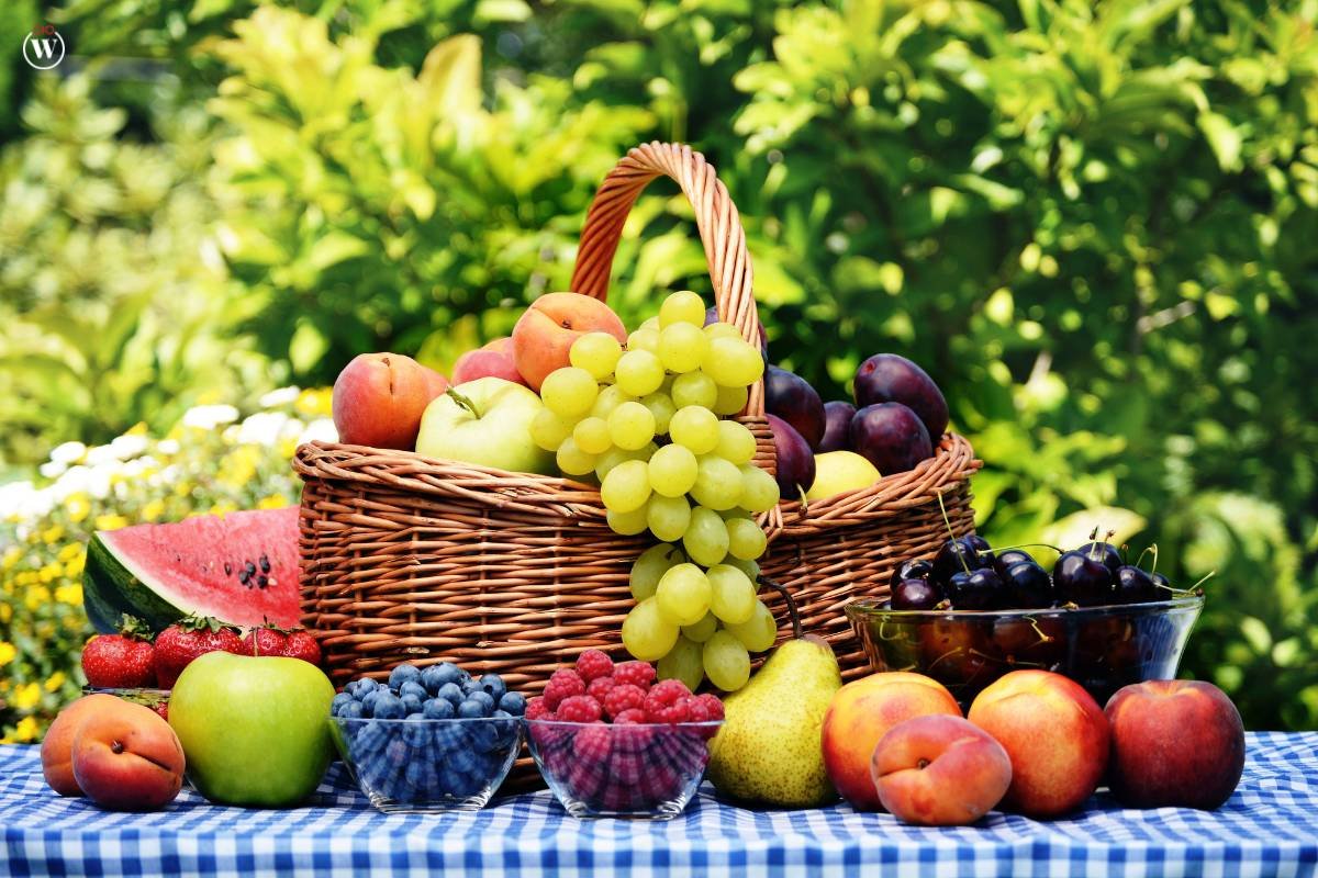 Savoring the Harvest: Seasonal Foods & Culinary Magic Explained | CIO Women Magazine