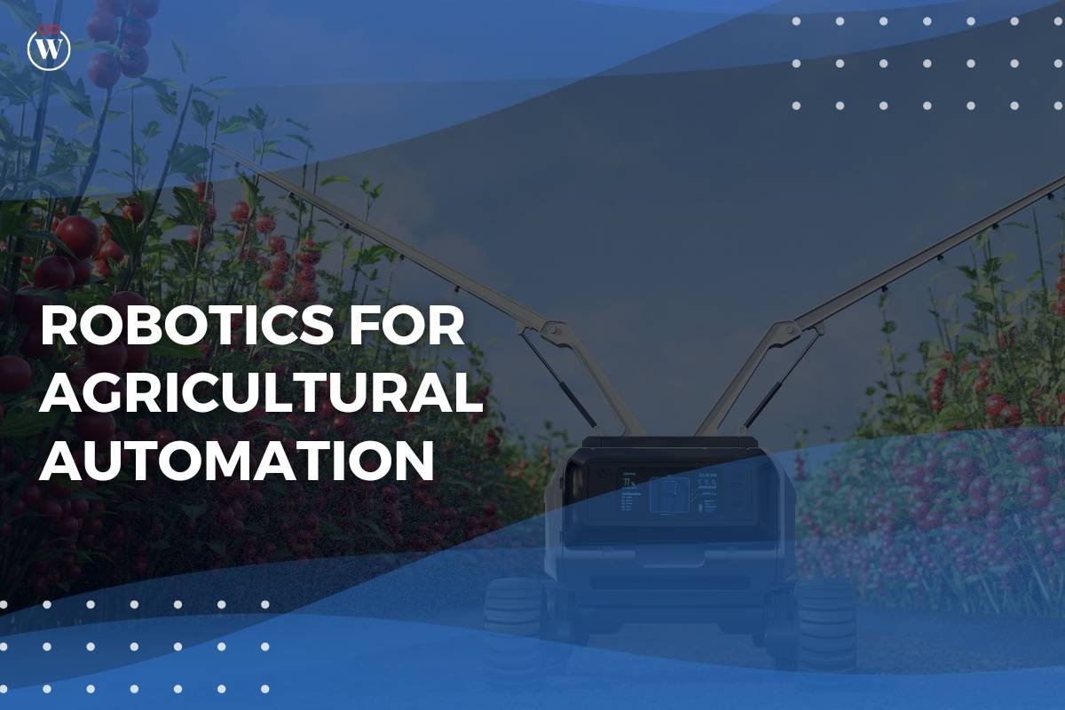 Robotics for Agricultural Automation: All You Need to Know | CIO Women Magazine