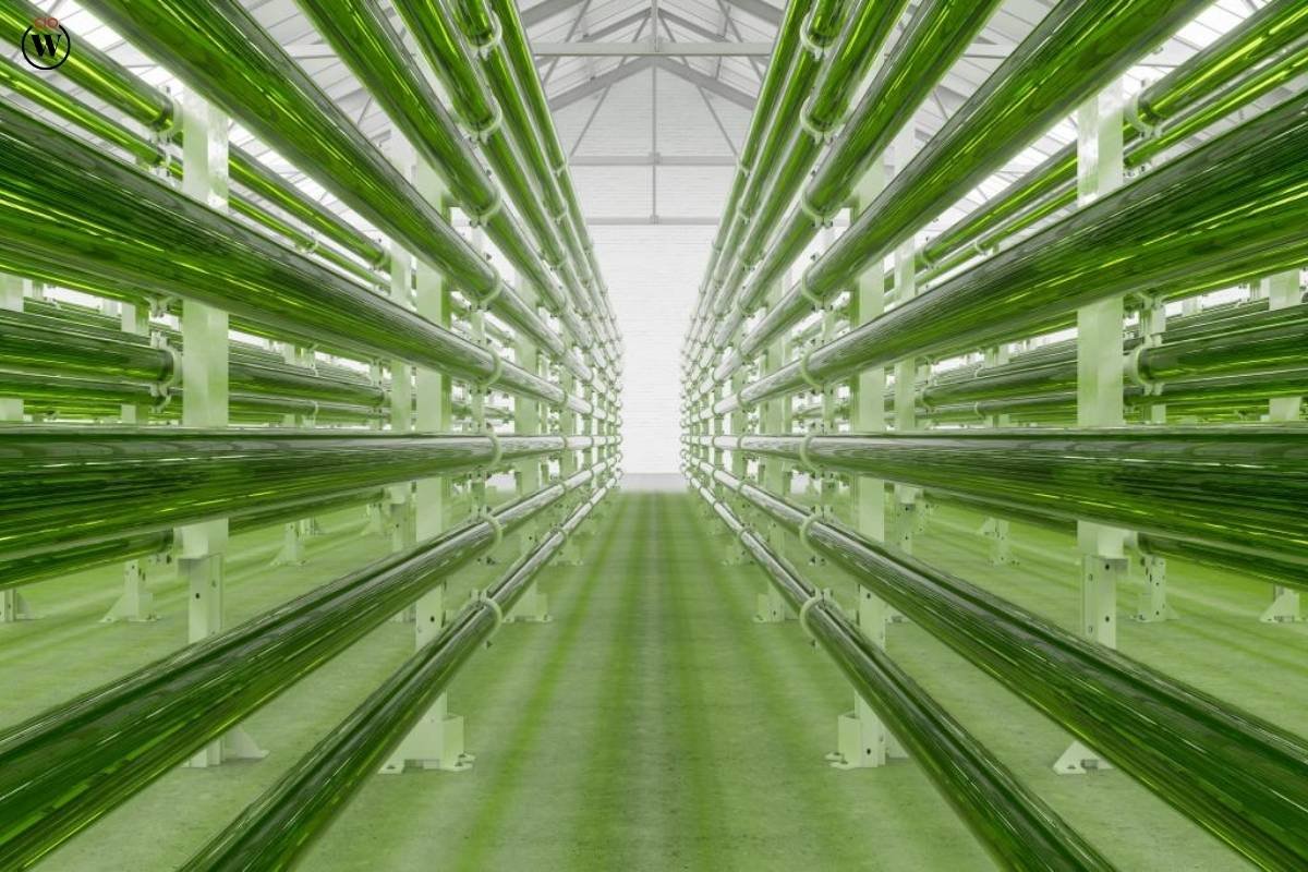 10 Innovative Renewable Energy Project Ideas to Power the Future | CIO Women Magazine