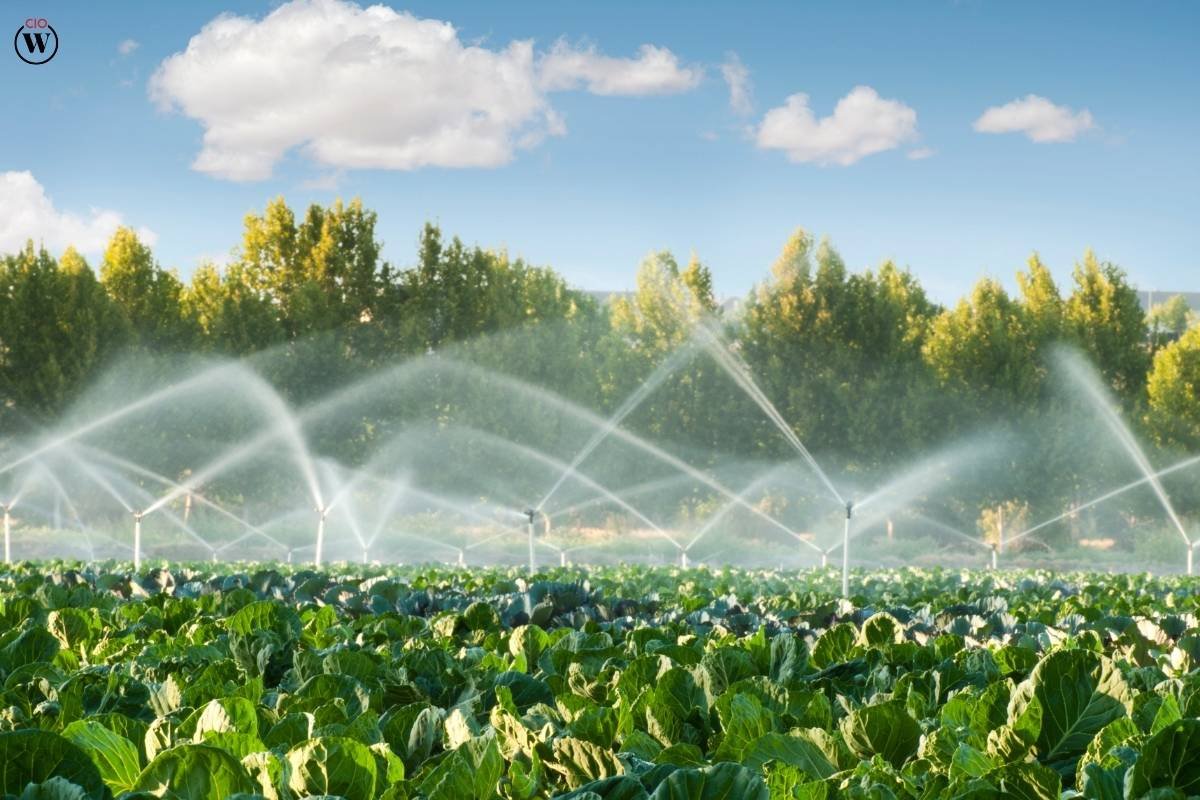 The Impact of IoT in Agriculture: 5 Benefits and Applications | CIO Women Magazine