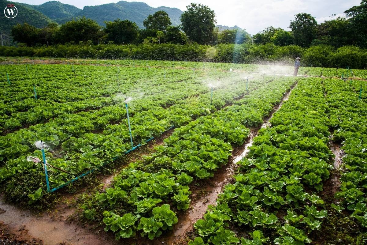 The Increasingly Important Role of Digital Transformation in Agriculture | CIO Women Magazine