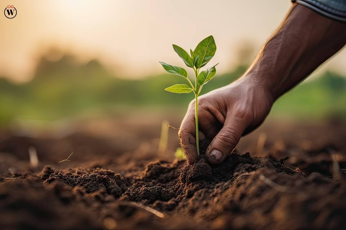 The Impact of IoT in Agriculture: 5 Benefits and Applications | CIO Women Magazine
