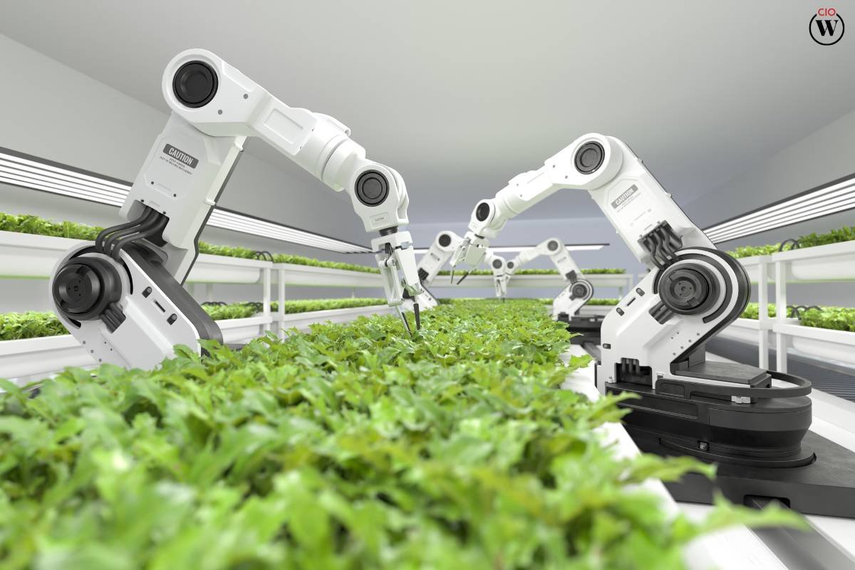 15 Disadvantages of Automated Farming: Balancing Efficiency with Environment | CIO Women Magazine
