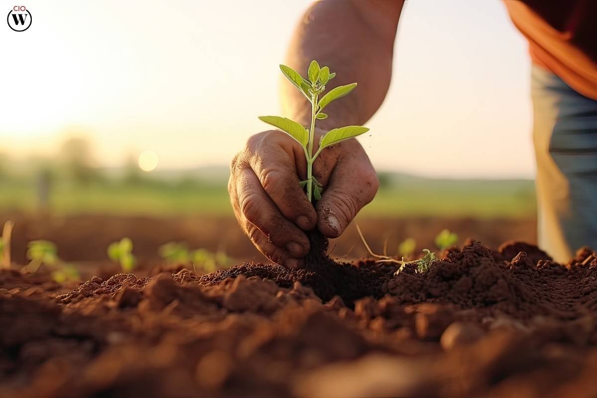 Urban Farming: 3 Benefits, Challenges & The Rise of Green Cities | CIO Women Magazine