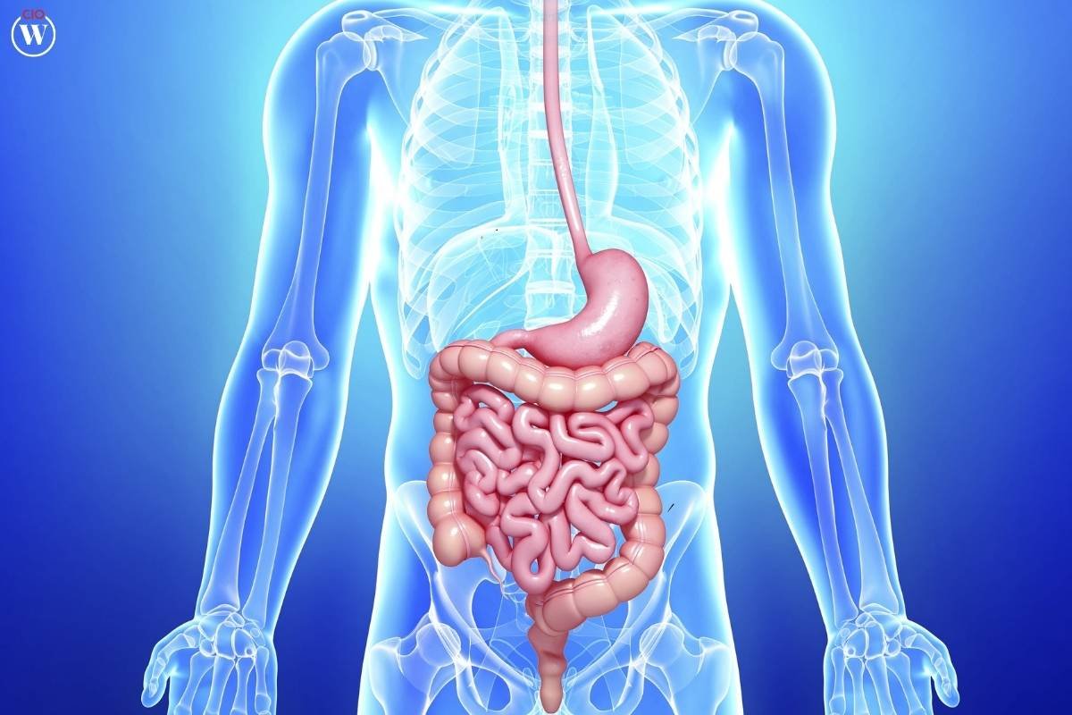 10 Interesting Facts About the Human Body | CIO Women Magazine