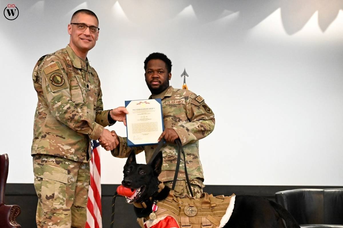 How Military Dogs Were Honored? Four-Legged Heroes | CIO Women Magazine