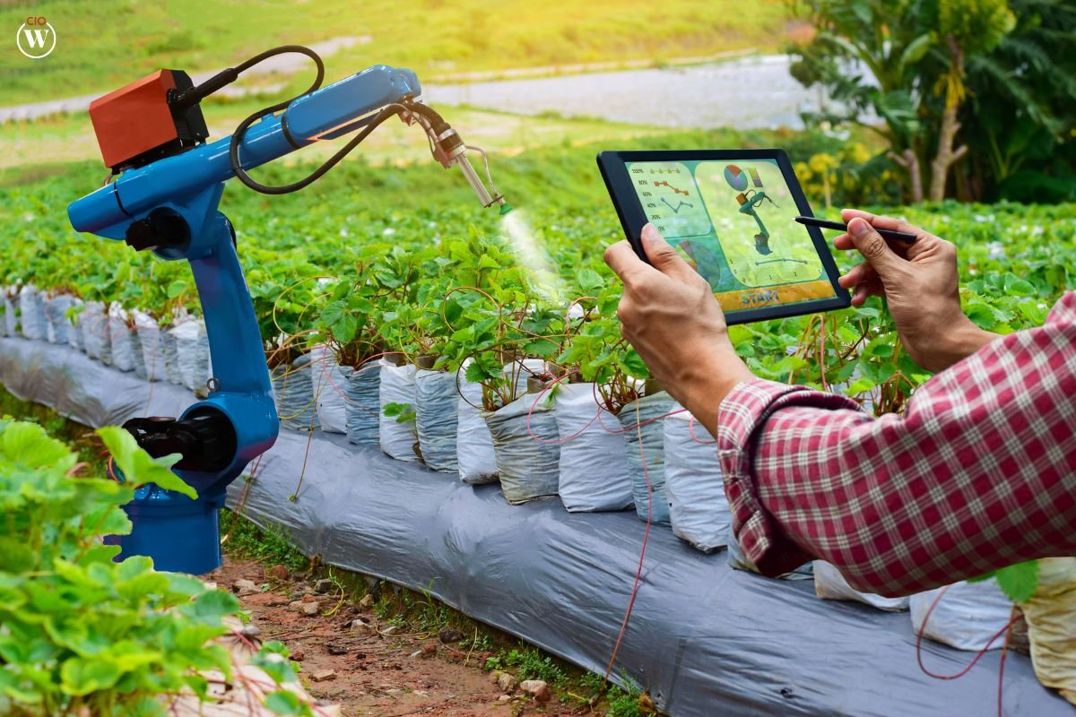 Case Studies of AI in Agriculture: Smart Farming Solutions