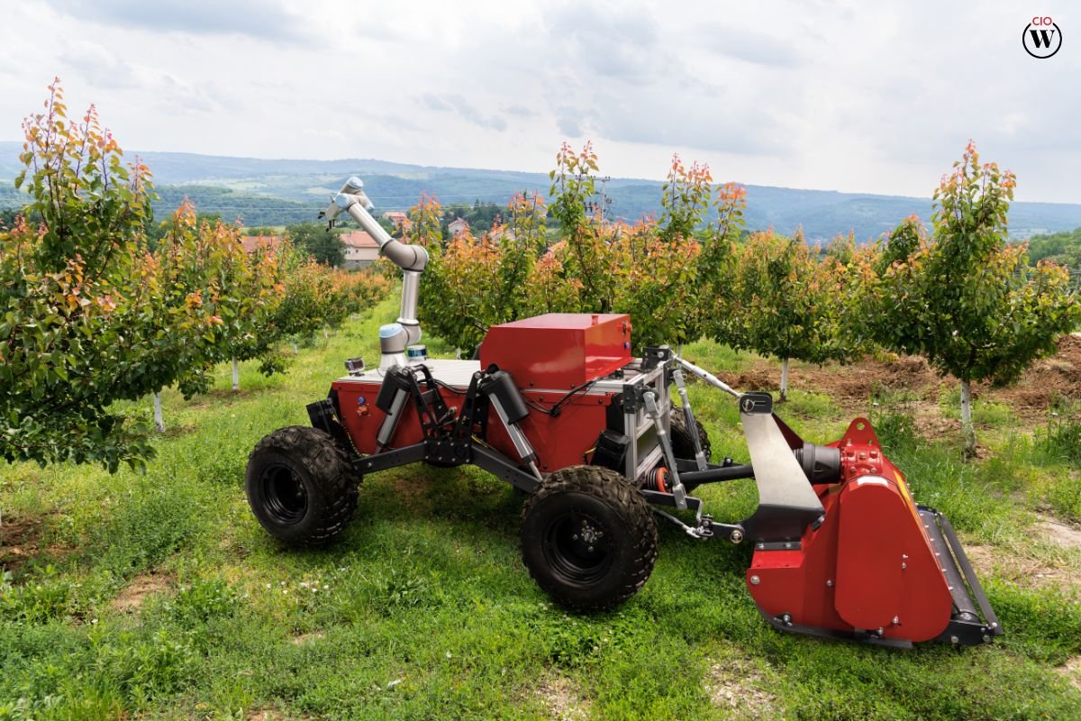 Case Studies of AI in Agriculture: Smart Farming Solutions | CIO Women Magazine