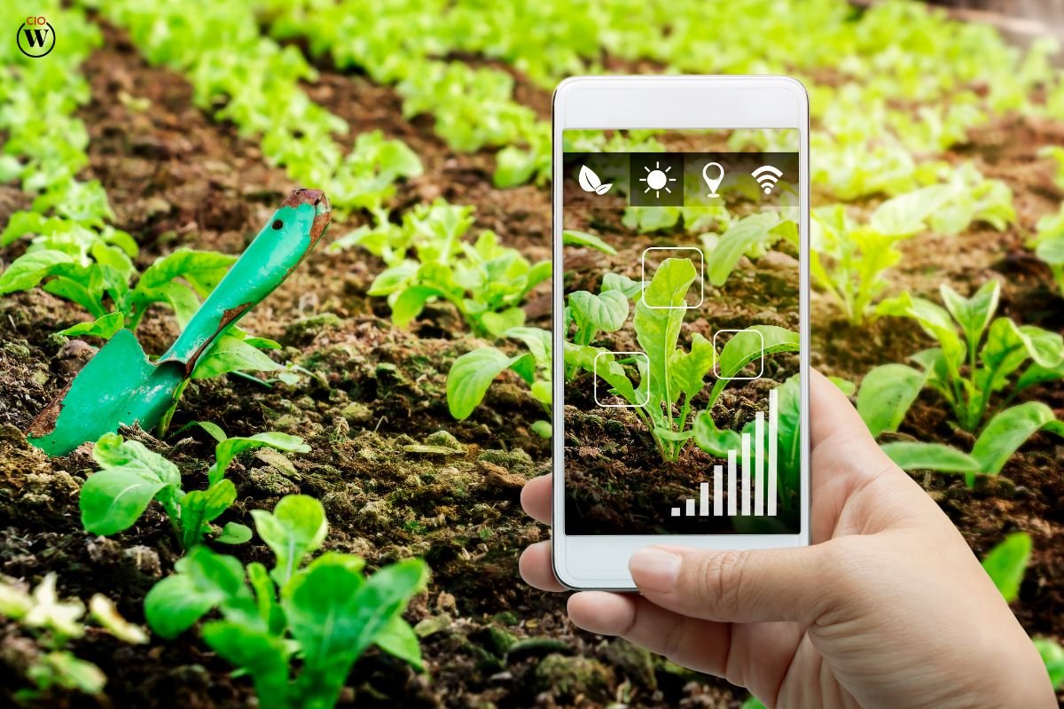 Case Studies of AI in Agriculture: Smart Farming Solutions | CIO Women Magazine