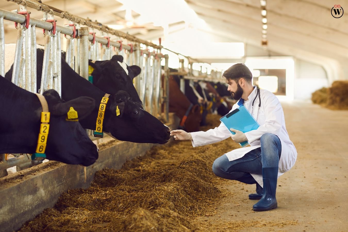 AI in Livestock Management: Revolutionizing Farming | CIO Women Magazine