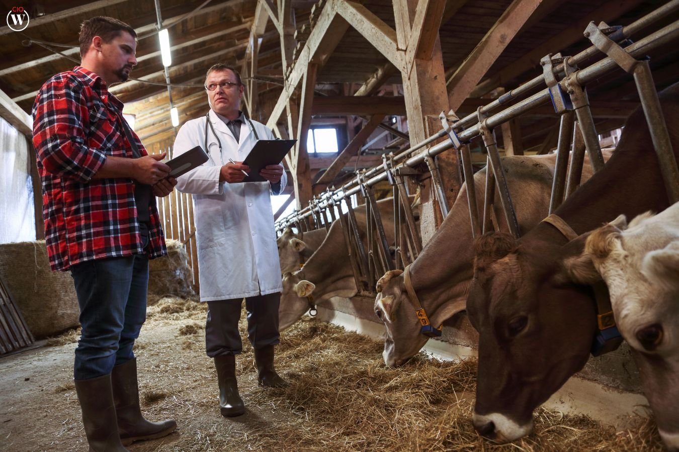 AI in Livestock Management: Revolutionizing Farming | CIO Women Magazine