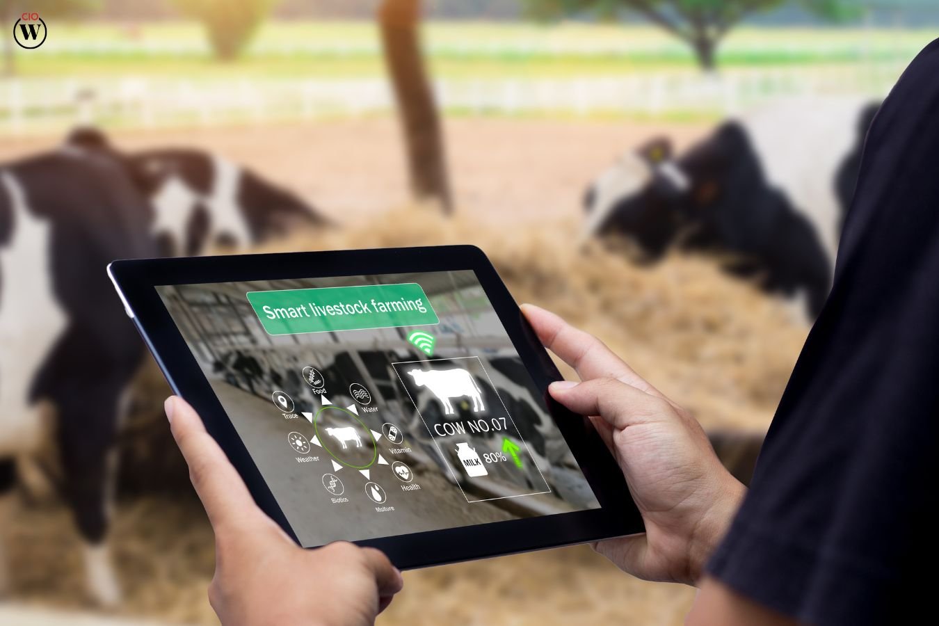 AI in Livestock Management: Revolutionizing Farming | CIO Women Magazine