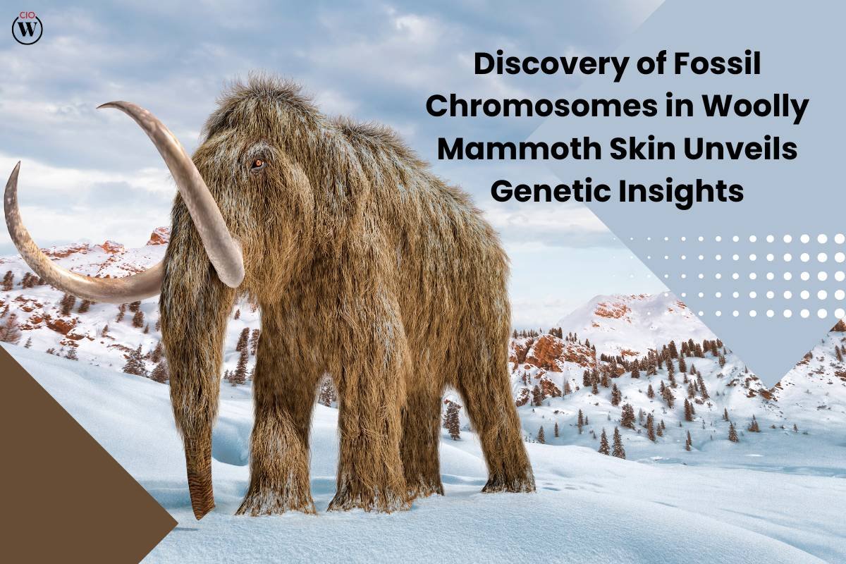 Fossil Chromosomes Found in Woolly Mammoth: Breakthrough Discovery | CIO Women Magazine
