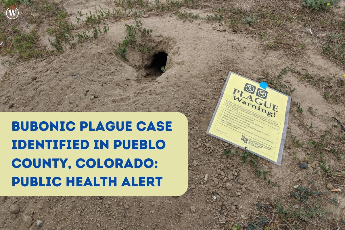 Bubonic Plague Case Confirmed in Pueblo County, Colorado | CIO Women Magazine