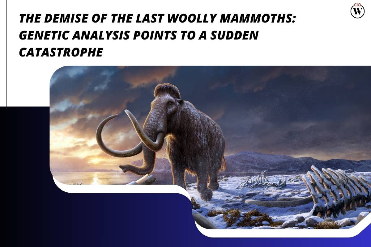 Woolly Mammoths Mystery Solved? New Study Points to Sudden Event | CIO Women Magazine
