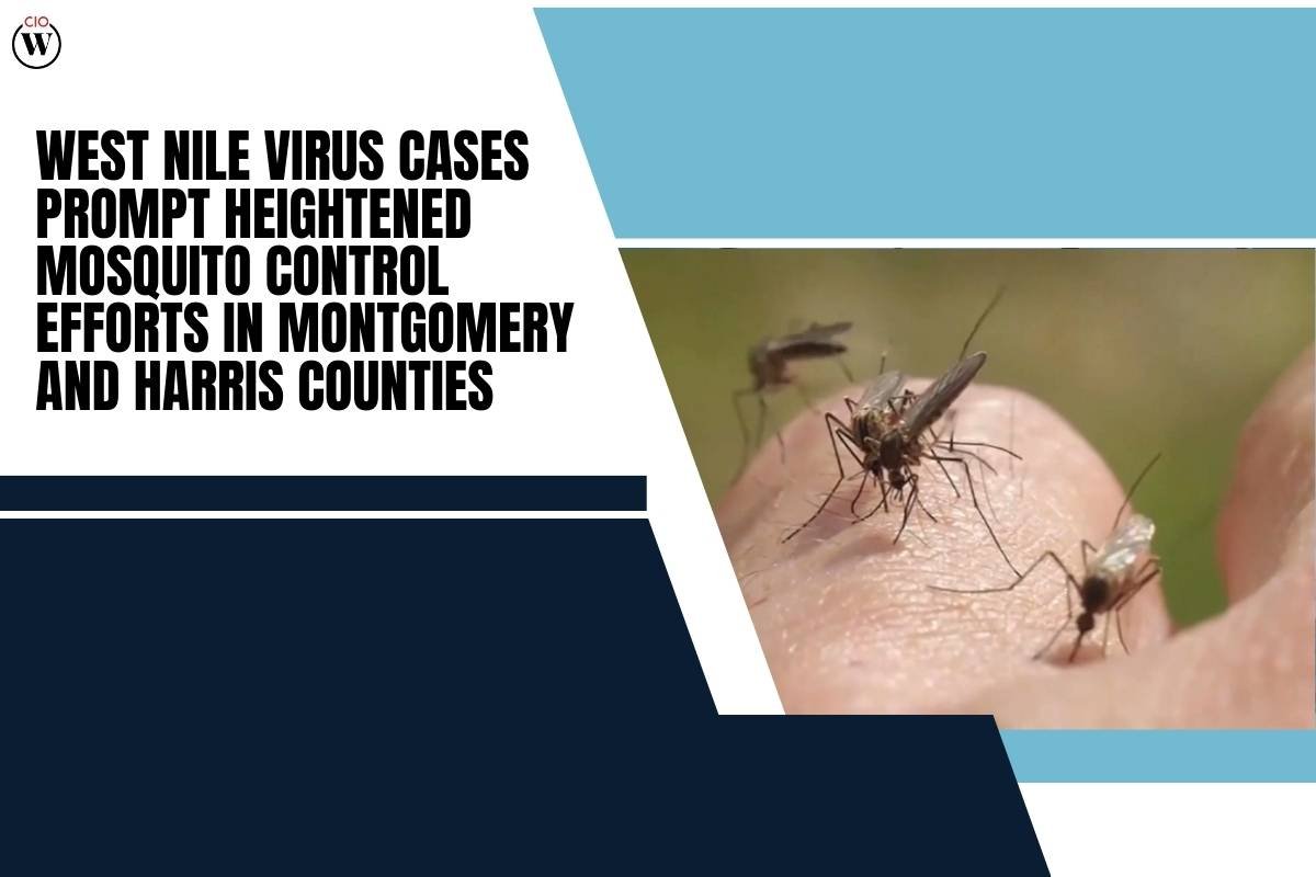 West Nile Virus Case Sparks Mosquito Control in Texas | CIO Women Magazine