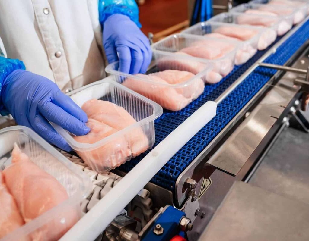 Top 10 Applications of Conveyors Across Industries | CIO Women Magazine