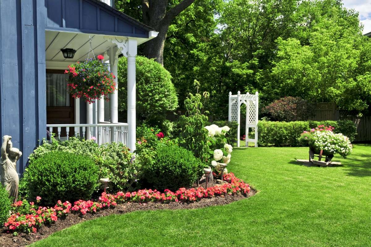 4 Strategies to Create Beautiful Backyard | CIO Women Magazine