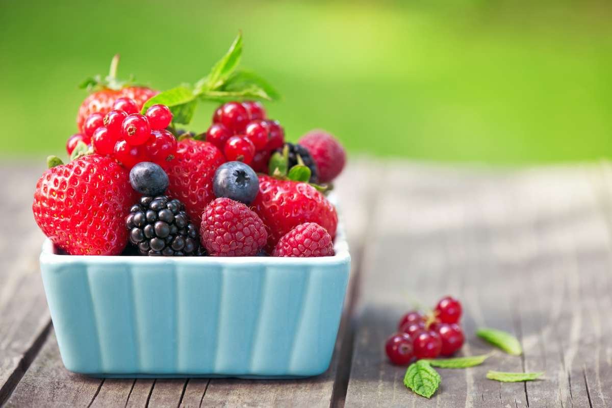 The Ultimate Anti-Aging Diet: Foods That Keep You Young and Vibrant | CIO Women Magazine