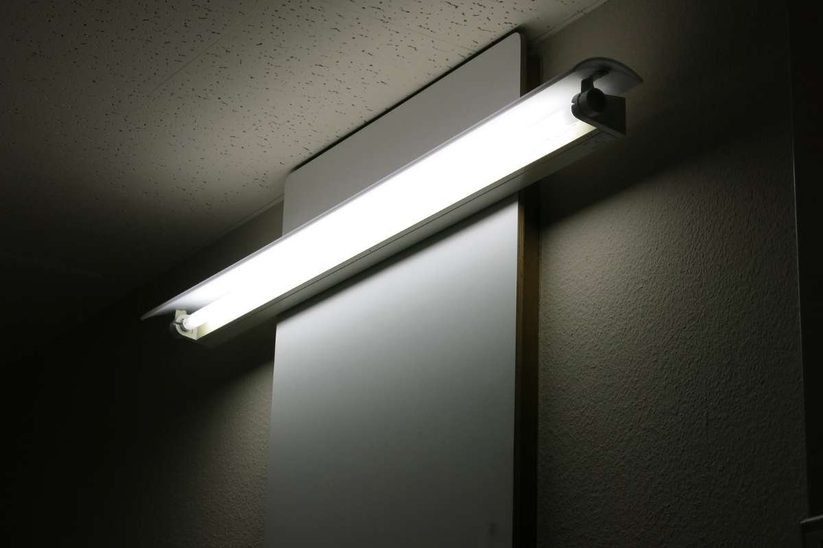 How to Reduce Energy Loss for Your Business and Improve Efficiency? | CIO Women Magazine