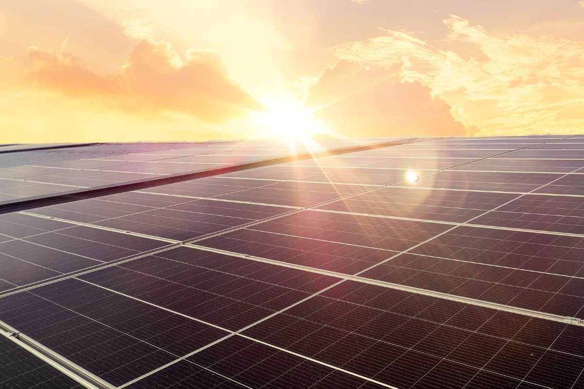 Why Summer Is The Best Time To Embrace Green Living? | CIO Women Magazine
