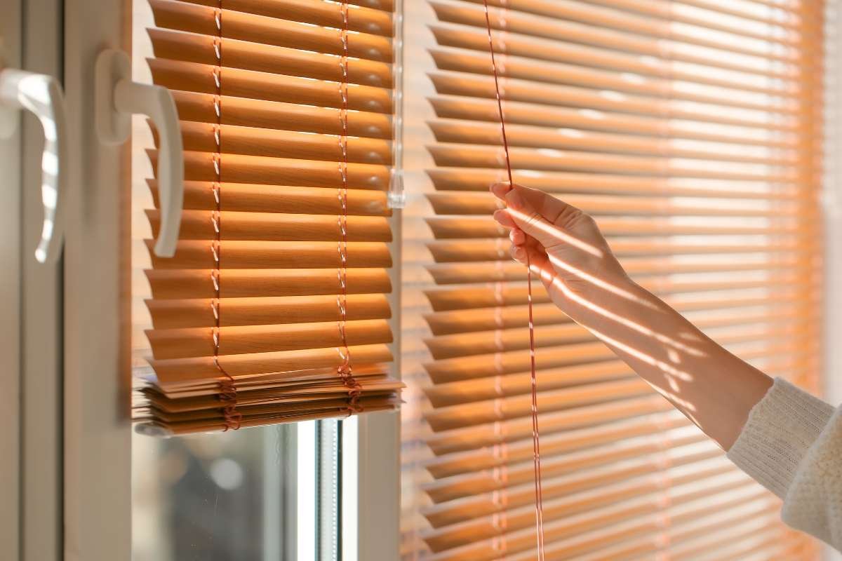 Why Summer Is The Best Time To Embrace Green Living? | CIO Women Magazine