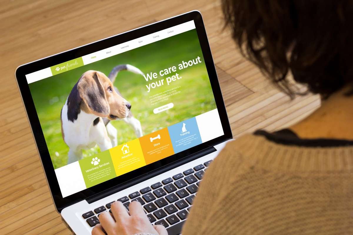 4 Unique Ways to Customize Your Ecommerce Store | CIO Women Magazine