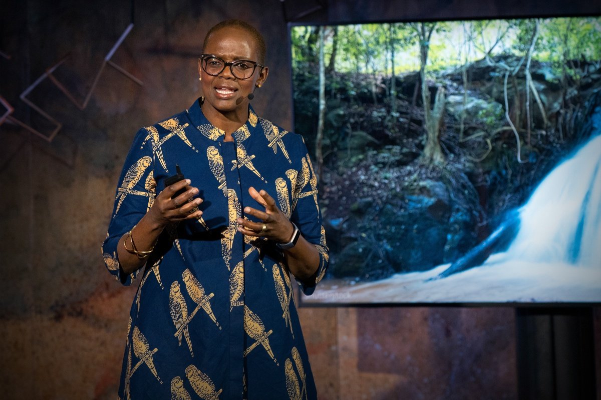 Wanjira Mathai: Sustainable Development and Environmental Justice Advocate | CIO Women Magazine