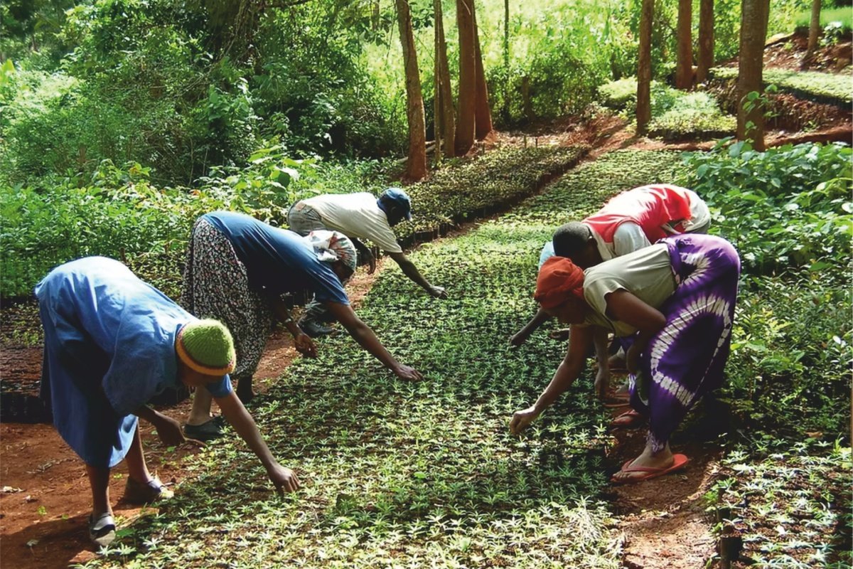 Wanjira Mathai: Sustainable Development and Environmental Justice Advocate | CIO Women Magazine