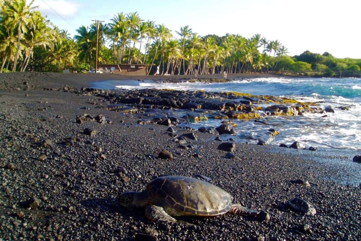 Top 4 Black Sand Beaches in Hawaii: Volcanic Beauty Awaits | CIO Women Magazine