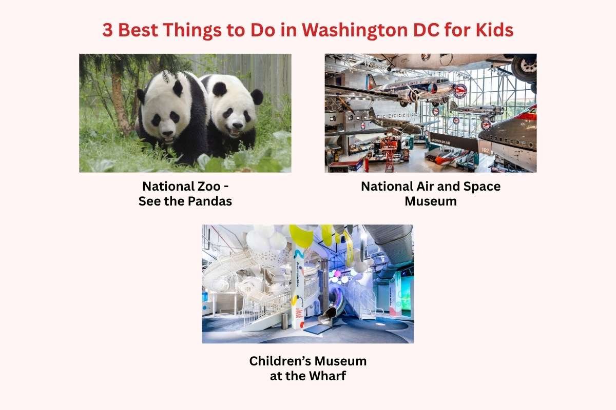 You’ll Regret Missing These Best Things to Do in Washington DC | CIO Women Magazine