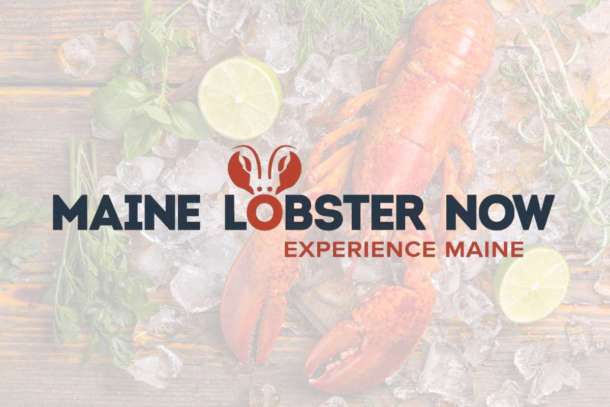6 Best Seafood Delivery Services Reviewed in 2025 | CIO Women Magazine